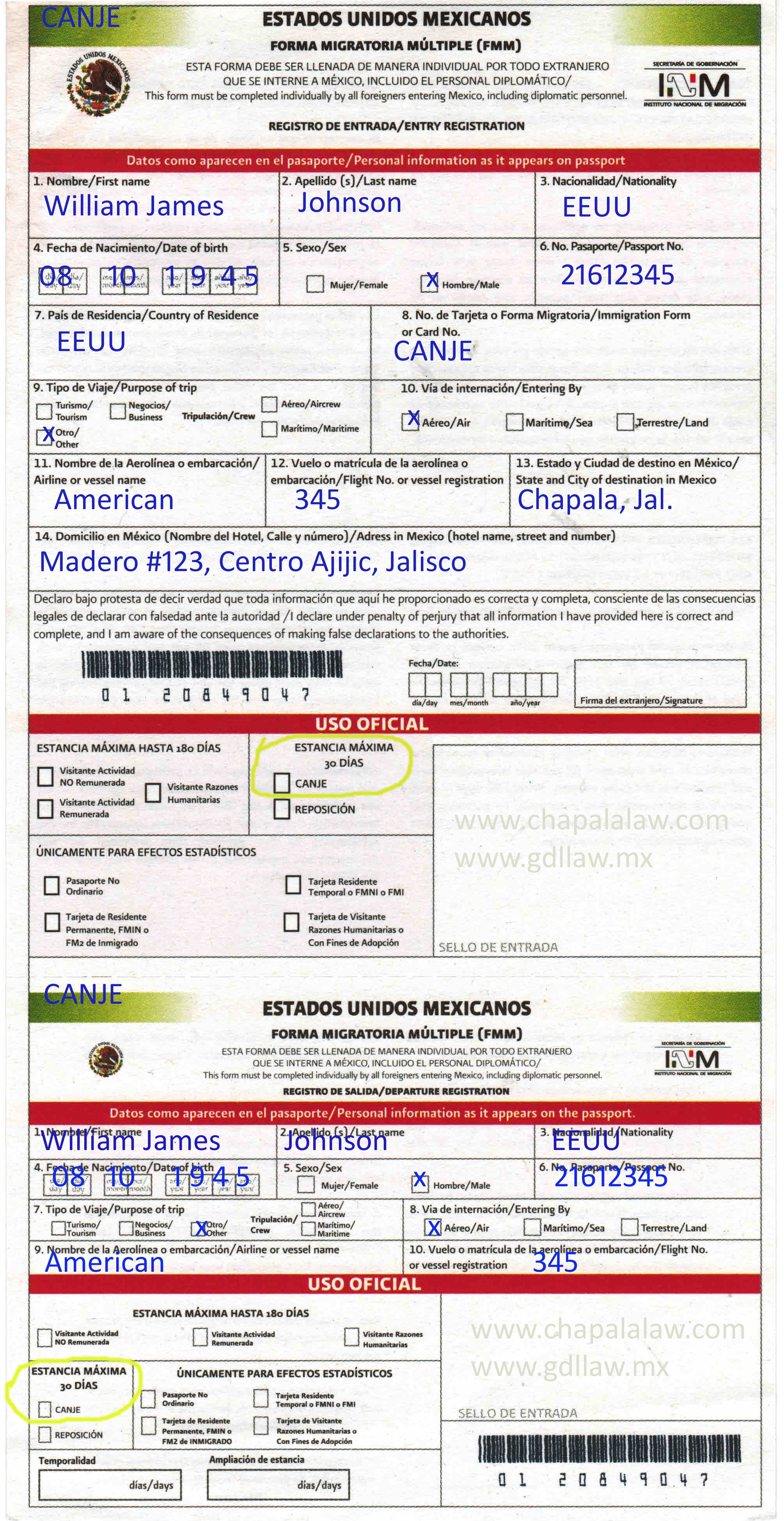FMM sample filled Out Forms Customs and Immigration